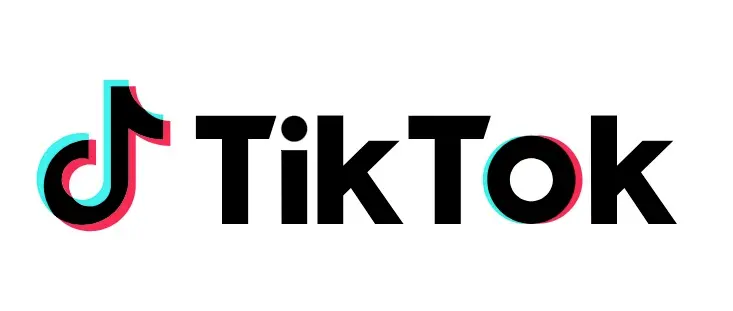 A Collection of TikTok User Screening Methods: Building Effective TikTok Customer Profiles